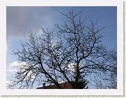 2006-03-12_15-24-17_mars_42,0mm_F8,0_1_250_eme_DiMAGE A2 * 3264 x 2448 * (4.1MB)